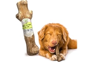 Woodbone Knots Coffee Wood Dog Chew Toy for Medium Dogs - Natural Wood Knots Branch Chewing Stick - Pack of 1 Size M