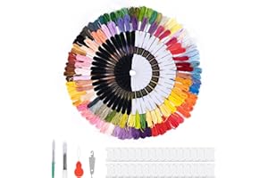 NOA HOME DECO Set di 306 fili da ricamo, 200 filati colorati e 48 filati bianchi neri per braccialetti fai da te, ricamo fai da te, set per punto croce, piastra metallica, filo per cucito, uncinetto, accessori