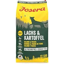 hundespielzeug schadstofffrei Redoggo Pilz – nachhaltiges Intelligenzspielzeug für Hunde – Dein Fellnasen  Shop main image 1