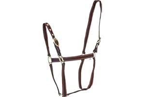 Rhinegold Licol en Nylon