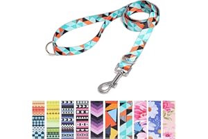 Suredoo Correa para Perros Nylon, Correa de Adiestramiento Ajustable y Resistente para Perros Pequeños, Mediano y Grande, Mascotas,Gatos, 120 x 2.0cm (Geometría)