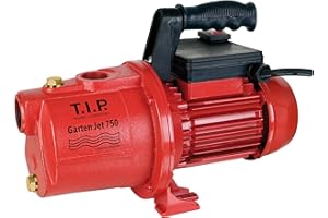 T.I.P. Garten Jet 750/31175 - Pompa da giardino in ghisa