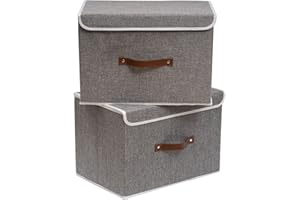 OUTBROS Boîte de Rangement, 45 x 30 x 30 cm Paniers de Rangement Pliables avec Couvercles et Poignées, Boîte Range pour Vêtement, Magazine pour, Chambre à Coucher (2 pièces, Gris)