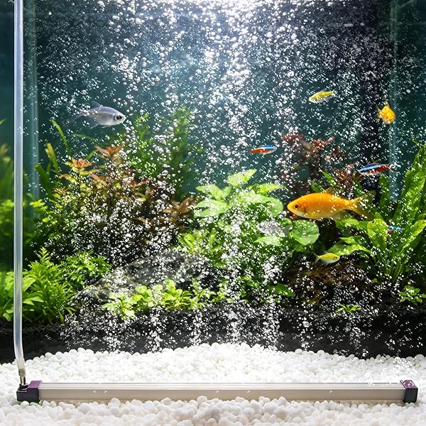 Thlevel Pietra ad Aria per Acquario 35CM Air Stone Bubble Fish Tank Diffusore Ossigeno Acquario con Tubo Flessibile per Acquari e Sistemi di Coltura Idroponica - 1