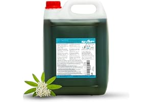 ‎ICE BÄR SLUSH ICE BÄR Slush Sirup AZO FREI 5 Liter Konzentrat | Geschmack Waldmeister | Slushy Maker Ice für Eis Maschine zum Selbermachen Getränkesirup