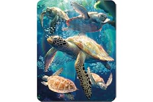 3D LiveLife Calamita Tartarughe Marine di Deluxebase. Calamita da Frigorifero 3D Lenticolare a Tema Oceano. Decorazioni magnetiche per Bambini e Adulti con Opera d'Arte del celebre David Penfound