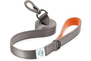 EMBARK PETS Embark Adventure Smycz dla psa - kolorowa, mocna i solidna nylonowa smycz dla małych psów, smycze dla średnich psów i psów, psów dużych ras, wytrzymała smycz do szkolenia psów (pomarańczowa smycz dla