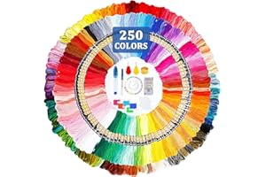 HEPAZ Filo da Ricamo,321pcs Fili Ricamo,In Poliestere,250 Colori Ricamo Morbidi Perfetto per Braccialetti Dell'Amicizia, Ricamo,Punto Croce,Accessori