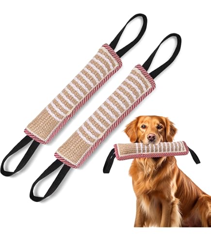 Sprenger Neck-Tech Fun Hundehalsband – Edelstahl-Kette Mit ClicLock, 48 Cm, Verstellbar | Für Training & Alltag