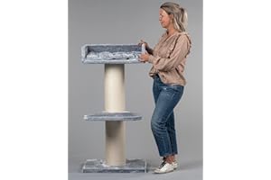 RHRQuality Arbre a Gros Chat XXL geant Maine Coon Lounge Gris Clair griffoir Solide à Grande Taille Original Design Moderne de Luxe Adulte