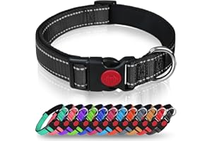 Taglory Hundehalsband, Weich Gepolstertes Neopren Nylon Hunde Halsband für Kleine Hunde, Verstellbare und Reflektierend für d