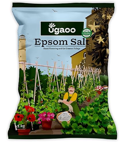 ZYDEX Zytonic Nursery Kit 2kg Aquatic Plant Fertilizer : Amazon.in