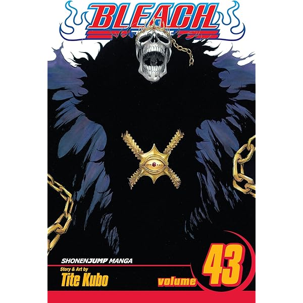 Bleach, Vol. 42: Volume 42 : Kubo, Tite: Amazon.pl: Książki