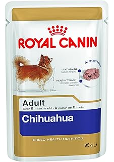 royal chihuahua food