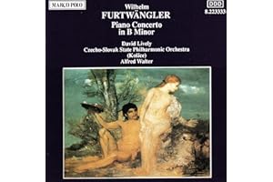 Klavierkonzert H-Moll