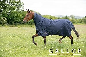 Gallop Trojan Lightweight Combo Turnout Rug