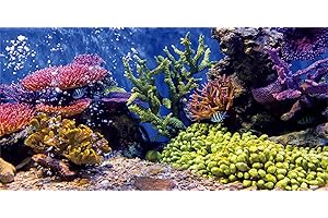 MIRRORANG 76x46cm Durable Vinyl Aquarium Decor Background Coral Tropical Fish Underwater Fish Tank Poster Backdrop