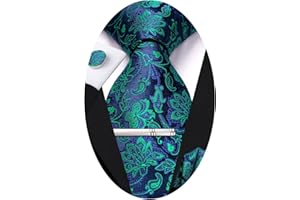 Hi-Tie Classic Mens Silk Ties Set 4 PCS Necktie Pocket Square Cufflinks Clip Pin Solid Strip Paisley Tie