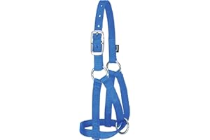 WEAVER LEATHER WEAVER Llama Halters: Blue: Full