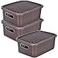 Heart Home Multiuses Large M 20 Plastic Basket/Organizer With Lid- Pack of 3 (Brown) -46HH065