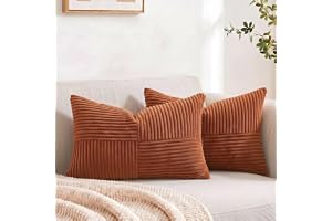 FDTERN Uppsättning av 2 rostfria kordsammet örngott 30 x 50 cm mjuka moderna dekorativa örngott örngott dekorativa örngott so
