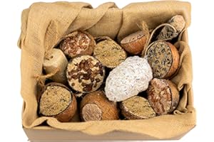 CHUBBY PET PRODUCTS Chubby Pecka Pack Includes 12 Hanging Feeder Treats - Mix of Suet, Seed, Peanut & Mealworms Wild Bird Food