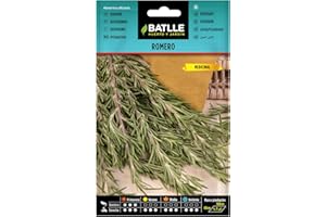 SEMILLAS BATLLE Semi di erba di Batlle - rosmarino (semi - 10-20 cm)