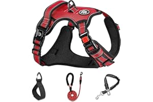 NESTROAD Hundegeschirr Kleine Hunde Rot, Anti Zug Geschirr Gepolstert Brustgeschirr für Kleine Hunde, Größe S Halsumfang 28~38CM Brustumfang 38~53CM, Reflexstreifen Brustgeschirr Hund