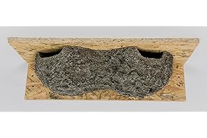 GENERISCH House House Double Nest, Swallow Nests, Nesting Box