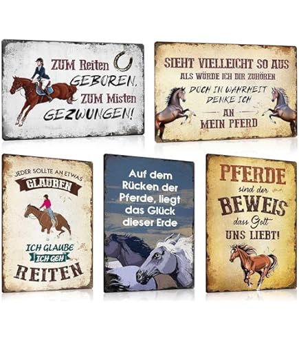 Shetland Pony Wissens-Poster Aus Metall - Vintage Blechschild 30x40cm