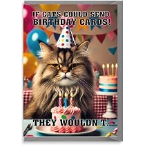 Carte Anniversaire Chat Propriétaire Animal Carte D'anniversaire Humour Chat - Pour Maman Ou Papa Propriétaire D'animal - Création Anglaise Impression Angleterre Enveloppe Incluse
