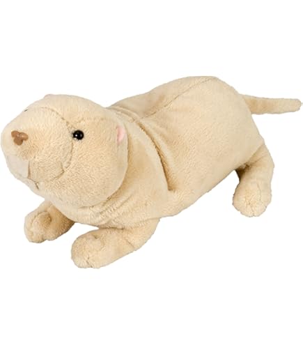 Central 23 Humoristische Verjaardagskaart – 'Be A Naked Mole Rat' – Voor Zus, Met Stickers, 145x145 Mm, 300 G/m², Engels, Grappig Cadeau!