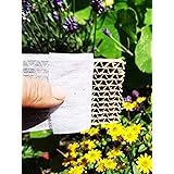 Novo Nem® Florfliegenlarven 150 Stück in Pappwabe gegen Blattläuse, Spinnmilben, Thrips, Wollläuse u. a.