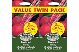 MR FOTHERGILLS Mr Fothergill's 18528 Vegetable Seeds, Beetroot Boltardy Bumper Pack, Sand