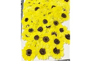 HANDI-KAFU 12 Stück Leuchtend gelbe Sonnenblumen echte natürliche getrocknete gepresste Blumen für Harz Kunsthandwerk DIY