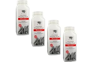 LONGSHAWE PKG Silverlene 4 x Athletes Healthy Foot Powder Medicated Treats and Prevents Anti Fungal 75g