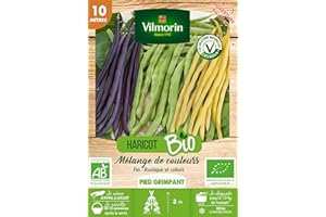 Vilmorin Haricot rame mix bio 10m