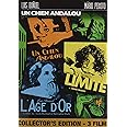 Un Chien Andalou