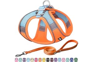 AIITLE Step in Hundegeschirr und Leine Set - Ziehfreies, fluchtsicheres Westengeschirr mit reflektierenden Bändern, verstellbares Hundegeschirr für kleine und mittlere Hunde Orange M