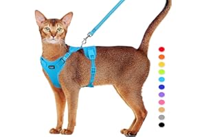 Supet Set di stoviglie per gatti e guinzaglio per gatti a prova di fuga, pettorina regolabile con strisce riflettenti, guinzaglio e pettorina universale per gatti e cuccioli