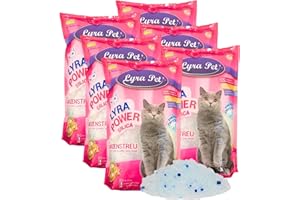 Lyra Pet® | 6 x 5 L Litière pour Chat Lyra Power Silica en Silicate | 100% Gel de Silice | Pas de Formation d'Agglomérats | Neutralise Les Odeurs | sans Poussière ni Parfum | Hygiénique et Absorbant