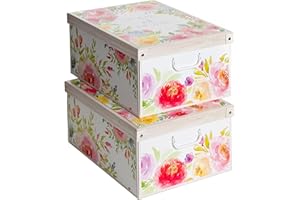 LAVATELLI Kanguru la coperta con le maniche Zestaw 2 pudełek do przechowywania z kartonu, duży, model SWEET HOME, 660 SHAZ