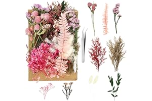 WEFINEST Fiori Secchi Naturali, Fiori Secchi Decorativi Per Vaso Rosa con Pinzette, Piccoli Fiori Secchi Per Bomboniere, Fiori Secchi Per Resina per Scrapbooking, Candele Fai Da Te, Gioielli Artigianali