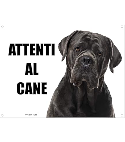 Targa Metallica 'Attenti Al Cane' - Personalizzabile Con Foto Per Cancelli O Giardino