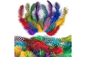 DEEPTON 300 Pcs Feather for Crafts, Coloured Craft Feathers, Natural Feather for DIY Dream Catcher Crafts Hats Mask