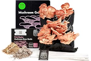 Urban Farm-It Mushroom Growing Kit (XL Pink Oyster) | Gardening Gifts for Women, Men & Kids | Code to Claim Free Spawn & Begin Growing When Ready | Fun, Educational, Easy to Use & Delicious to Eat
