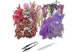 Cayway 2 Packs Natürliche Getrocknete Blumen Getrocknete Blätter Getrocknete Blumen Deko Gemischt mit Pinzette, Schere für Harz Kerzen Nagel DIY Dekor