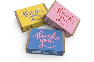 SEEDBALL Thank You Gifts Wildflower Seeds | Set of 3 Boxes with 6 Wild Flower Seed Balls Per Box | Bee Friendly British Wildflower Seed Bombs for Bees, Butterflies & Garden Wildlife