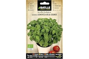SEMILLAS BATLLE Graines Bio de Batlle - Basilic Grand Vert (1,5g)
