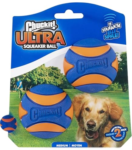 Set Für Hunde Geruchsarbeit - Runde Behälter Mit Hohlen Deckeln | 10